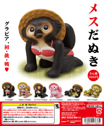 メスだぬき