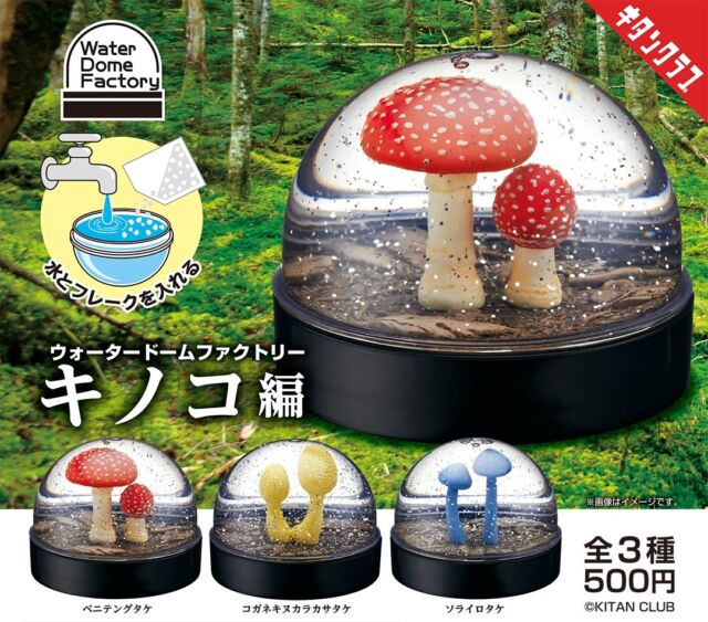 .
＼📢発売情報／

人気のカプセルレスシリーズ最新作🍄

カプセルに水と付属のキラキラフレークを入れると…
広大な森林の中で朝露に輝く色鮮やかなキノコの
スノードームが完成します🌳✨

【#WaterDomeFactory キノコ編】は9/20（金）より全国のカプセルトイ売場で順次発売！

商品名　WaterDomeFactory キノコ編
発売元　株式会社キタンクラブ
サイズ　約幅67×高さ70mm（使用時：高さ56mm）
価格　　1回500円　全3種
©KITAN CLUB

#キタンクラブ #カプセルトイ #ガチャ #ガチャガチャ #ガチャポン #奇譚クラブ #kitanclub #capsuletoy #gachagacha #toy #doll #pretty #スノードーム #snowdome #カプセルレス #キノコ #ベニテングダケ #コガネキヌカラカサタケ #ソライロタケ #森 #Forest #森林 #きのこ