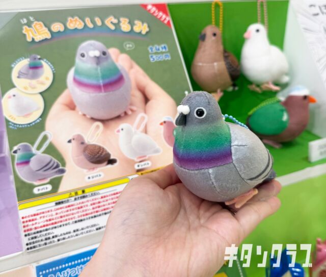 .
／
🕊くるっぽ～
＼

大丸神戸にて開催中の #ガチャガチャ展 では、
発売予定の【鳩のぬいぐるみ】を一足先に展示しています🕊

まんまるぽってりなフォルムに
ぜひご注目ください🥰

🔗https://dmdepart.jp/museum/kobe/gachagachaten/

※実際の展示にはお手を触れないようご注意ください🙇

#カプセルトイ #ガチャガチャ #ガチャ #鳩 #はと #鳩ぬいぐるみ #ぬいぐるみ