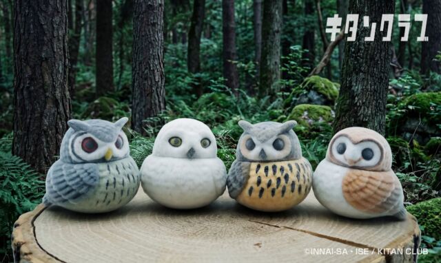 .
＼チラ見せ🌲／

福を呼ぶ
【ふっくら福福フクロウ フロッキー】が登場予定🦉

首がくるくる回って、ゆらゆら揺れる♪
ふわふわのフロッキー仕様にもご注目👀

全6種で展開予定です。
お楽しみに🎶

2026年9月頃発売予定🌙
※写真は進行中のサンプルです

#カプセルトイ #ガチャガチャ #ガチャ #カプトイ #フクロウ #梟 #🦉 #福 #ふっくら福福