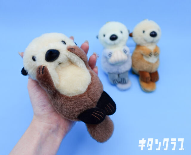 .
＼このサイズ、本当にカプセルに入ってます。／

約170mmのBIGなラッコぬいぐるみが発売中✨
ぎゅうぎゅうに詰まった姿もたまらない…❣

ボールチェーン付きなので、一緒にお出かけも楽しめます🥰

🦦 #かわいいかわいいぬいぐるみ BIG ラッコ🌊
🔗https://kitan.jp/products/kkn_bigseaotter/

🦦 Wait… this BIG sea otter really fits inside a capsule?! ✨
Measuring about 170mm, this fluffy plush is packed snugly into its capsule—and that squished-up look is just too cute! 🥰 With a ball chain attached, you can take your adorable sea otter along wherever you go. 💕

#カプセルトイ #ガチャガチャ #ガチャ #カプトイ #ぬいぐるみ #ラッコ #ぬい活 #SeaOtter #SeaOtterPlush #Plushie #CutePlush #CapsuleToy #Gachapon #Gacha #KitanClub #JapaneseCapsuleToys #PlushLover