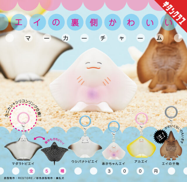 .
＼📢発売情報／

にっこりかわいいエイが帰ってきた！

「エイの裏側ってかわいいよね～」から生まれた、フィギュアが令和仕様に！
マーカーチャームになって登場✨

もちろん「エイの干物」も健在！
かわいい？かわいくない？
種類ごとの特徴をしっかり捉えた造形や彩色にも注目してください👀

あなたはどのエイがお好き？

【#エイの裏側かわいい マーカーチャーム】は10/9（金）より全国のカプセルトイ売場で順次発売！
https://kitan.jp/products/einoura_mc/

📢 The adorable rays are back! 🪽✨

Born from the idea that “the underside of a ray is actually pretty cute,” these lovable ray figures are back with a fresh new Reiwa-era look—now as marker charms! 👀💕

And yes, the dried ray is back too! From their unique shapes to their detailed colors, each design captures what makes these rays so special. 🐟✨

Cute or… not so cute? You decide!
Which ray is your favorite? 💭

will be available at capsule toy machines across Japan from October 9!

#カプセルトイ #ガチャガチャ #ガチャ #カプトイ #エイ #エイの裏側 #海 #水族館 #Ray #Stingray #MarineLife #RayLover #CapsuleToy #Gachapon #Gacha #KitanClub #JapaneseCapsuleToys #CuteCollectibles