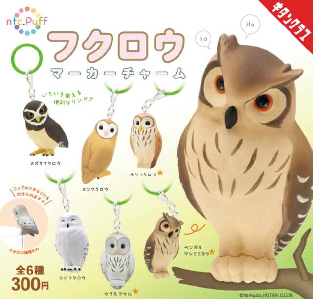 .
＼📢発売情報／

　　／
🦉「ntc.Puff フクロウ」リバイバル！
　　＼

ほんわりキュートなフクロウたちが、シリコンリング＆チャーム仕様で登場✨
メンフクロウやニコニコのシロフクロウ、メガネフクロウなど、個性豊かな全6種！

全種自立するので、置いて飾ることも💮
さらに、ウラルアウル・モリフクロウ・ベンガルワシミミズクの3種は、グラスやカップのフチに乗せても楽しめます🎶

傘やバッグ、ポーチにつけて、一緒にお出かけしよう🦉

【ntc.Puff フクロウ マーカーチャーム】は10/9（金）より全国のカプセルトイ売場で順次発売！
https://kitan.jp/products/owl_mc/

📢 The adorable 【ntc.Puff Owls】 are back! 🦉✨

These fluffy-looking owls return as silicone ring charms, with 6 unique designs including a Barn Owl, a smiling Snowy Owl, and an owl with glasses! 💕 Each one can stand on its own, so you can display them anywhere you like. Plus, 3 designs can perch on the rim of your glass or cup for an extra dose of cuteness! 🎶

Clip one onto your umbrella, bag, or pouch and take your favorite owl with you wherever you go. 🦉💨

【ntc.Puff Owl Marker Charms】will be available at capsule toy machines across Japan from October 9!

#カプセルトイ #ガチャガチャ #ガチャ #カプトイ #フクロウ #🦉 #梟 #マーカーチャーム #めじるし #NTCPuff #Owl #OwlLover #BirdLover #AnimalCollectibles #CapsuleToy #Gachapon #Gacha #KitanClub #JapaneseCapsuleToys