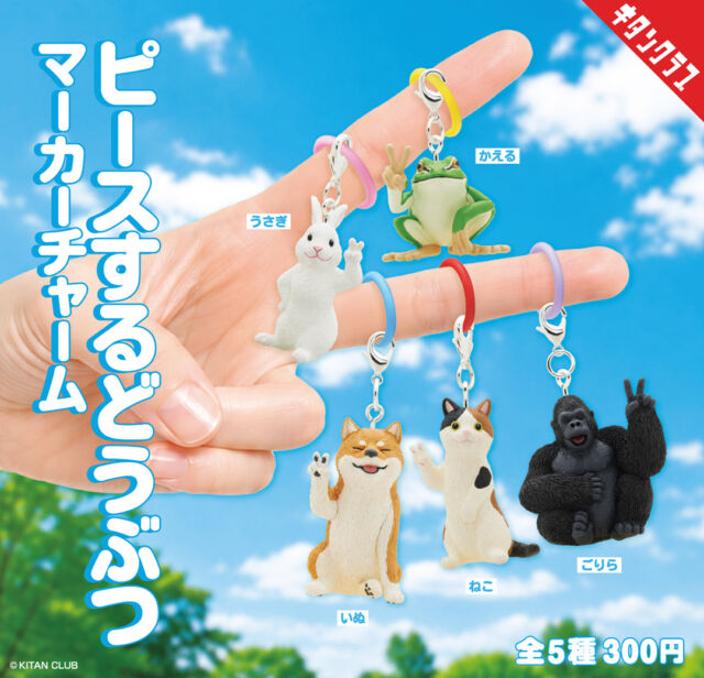 .
＼📢発売情報／

ハイチーズ！📸
ニコッと笑ってピースする✌
「#ピースするどうぶつ」が
マーカーチャームになりました🐶🐱🐰🦍🐸

シリコンリング付きで
一緒にお出かけしやすくなったよ🎶

いつもの写真に、ちょっと仲間をプラス✨
たくさん並べれば集合写真みたいでさらに楽しい❣

【ピースするどうぶつ マーカーチャーム】は10/23（金）より全国のカプセルトイ売場にて順次発売！
https://kitan.jp/products/peaceanimals_mc/

📢 Say cheese! 📸✌️
The smiling, peace-signing 【#PeaceSignAnimals】 are now ready to join you as marker charms! 🐶🐱🐰🦍🐸 With a silicone ring, they’re easy to take along wherever you go. 🎶

Add a little animal friend to your photos, or line them all up for a fun group shot! ✨💕

【Peace Sign Animals Marker Charms】will be available at capsule toy machines across Japan from October 23!

#カプセルトイ #ガチャガチャ #ガチャ #カプトイ #キタンクラブ #ピース #どうぶつ #いぬ #ねこ #猫 #cat #frog #カエル #うさぎ #ゴリラ
#PeaceSignAnimals #AnimalCharms #AnimalLovers #CapsuleToy #Gachapon #Gacha #Kawaii #CuteCollectibles #KitanClub #JapaneseCapsuleToys